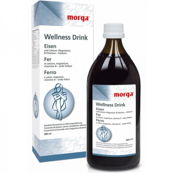 Eisen Wellness Drink, 380ml - Morga